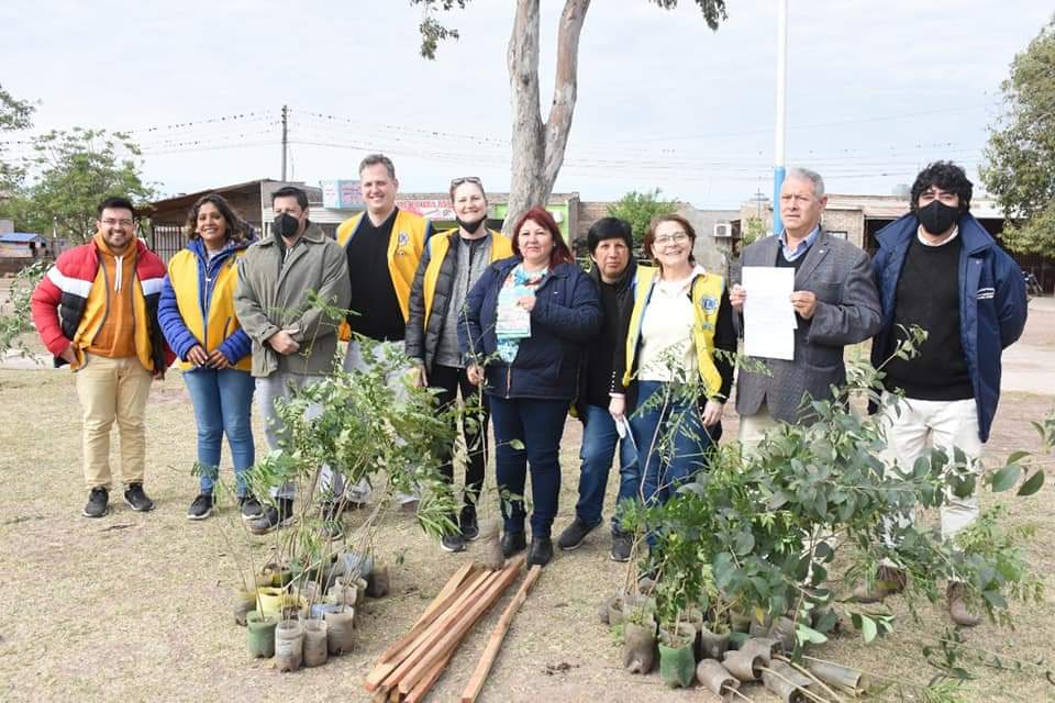EL MUNICIPIO PLANTÓ ÁRBOLES EN LA PLAZA 20 DE JUNIO