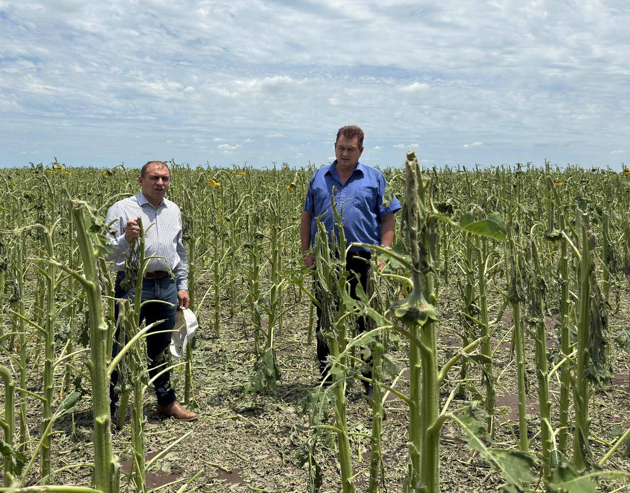 EL MINISTERIO DE LA PRODUCCI&Oacute;N RELEV&Oacute; LOS DA&Ntilde;OS POR LA TORMENTA EN HERMOSO CAMPO Y EN MES&Oacute;N DE FIERRO