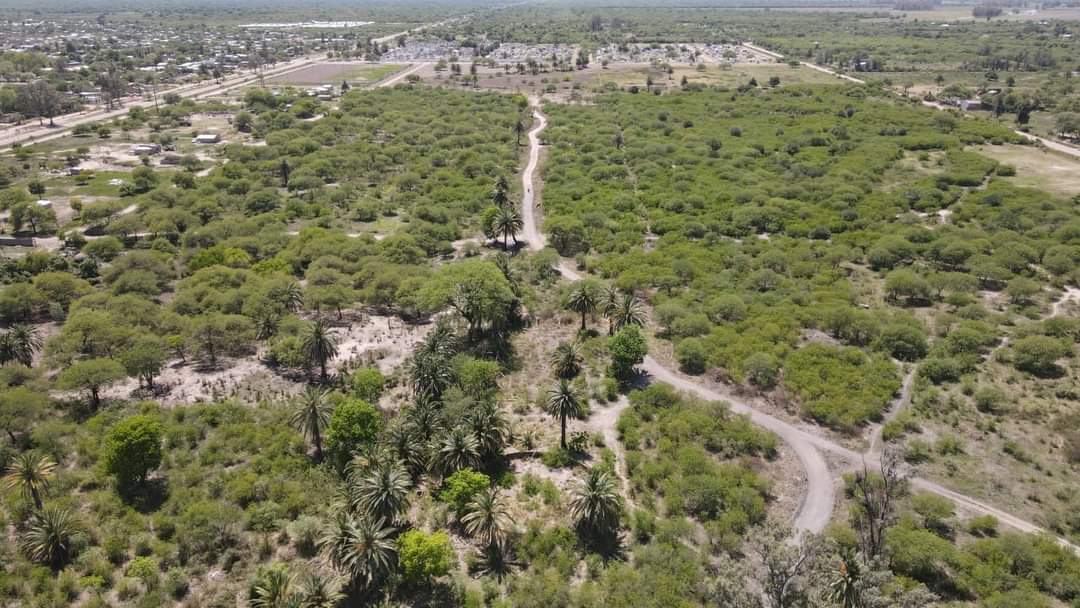 EL MUNICIPIO INVITA A PARTICIPAR DE LA CARRERA MTB “DESAFÍO RUTAS DEL TANINO”