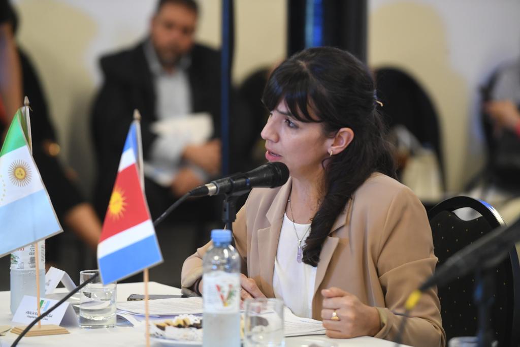 *ANALÍA RACH QUIROGA PARTICIPÓ DEL FORO PERMANENTE DE VICEGOBERNADORAS Y VICEGOBERNADORES DE ARGENTINA* 