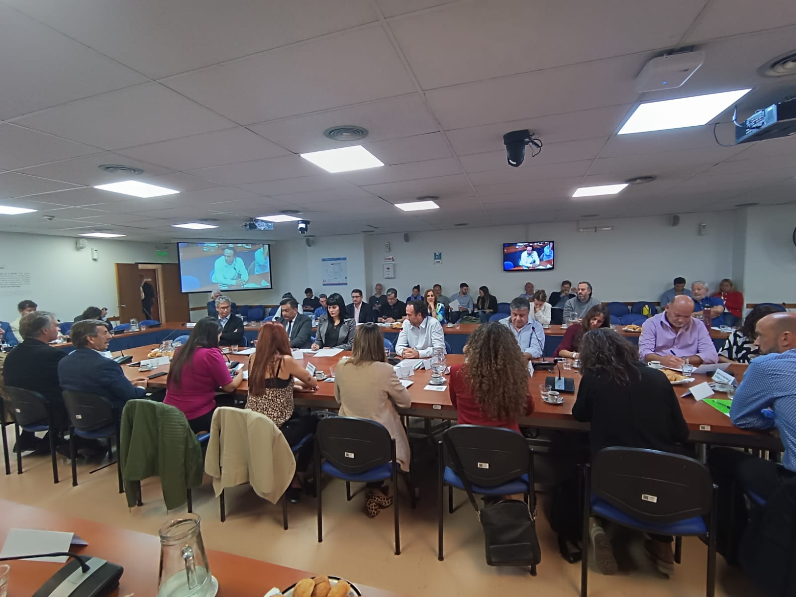 ANTE NACIÓN, CHACO IMPULSA LA CREACIÓN DE UNA LEY QUE ESTABLEZCA BENEFICIOS PARA LA PRODUCCIÓN DE MIEL ORGÁNICA
