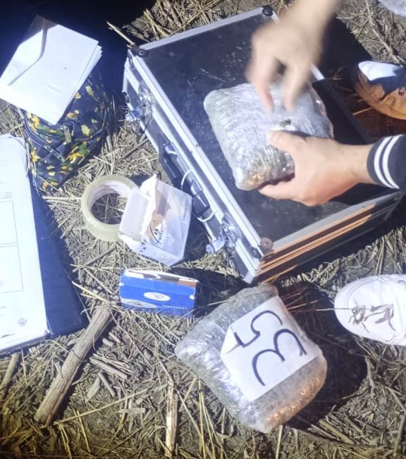 *GOLPE AL NARCOTRÁFICO* *ENFRENTAMIENTO Y SECUESTRO: CASI 49 KILOS DE MARIHUANA FUERON INCAUTADOS EN VILLA RÍO BERMEJITO*