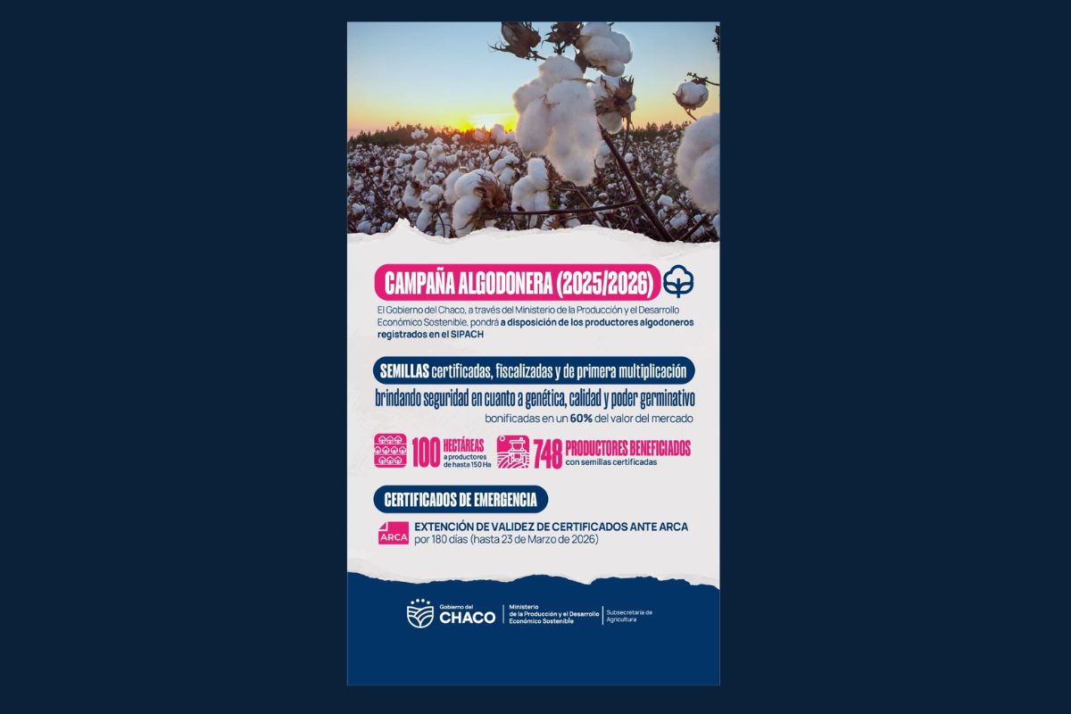 EL GOBIERNO DEL CHACO IMPULSA LA SIEMBRA ALGODONERA CON SEMILLAS BONIFICADAS Y CR&Eacute;DITOS ESPECIALES