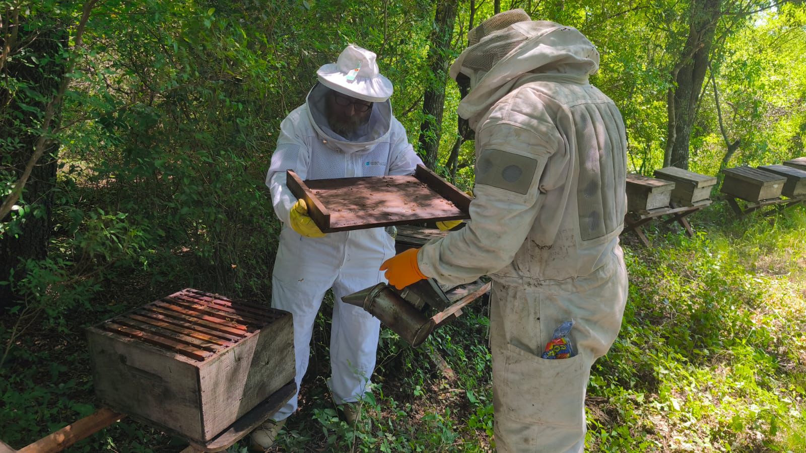 *COMPROMISO CON LA CALIDAD: EXAMEN REGIONAL PARA NUEVOS INSPECTORES SANITARIOS AP&Iacute;COLAS DE CHACO Y FORMOSA*
